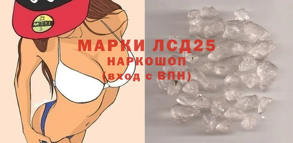 spice Богородицк