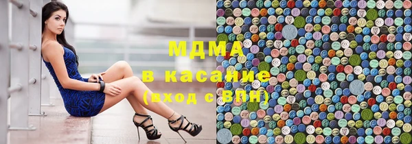 spice Богородицк